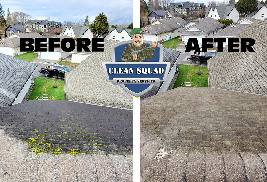 before and after photo of an asphalt roof soft wash in ladner bc. before photo has dark mold stains and green moss. after photo of a clean shingle roof