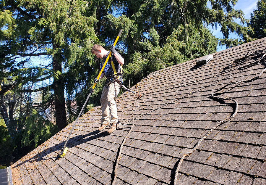 clean squad property services team member cleaning a roof in ladner