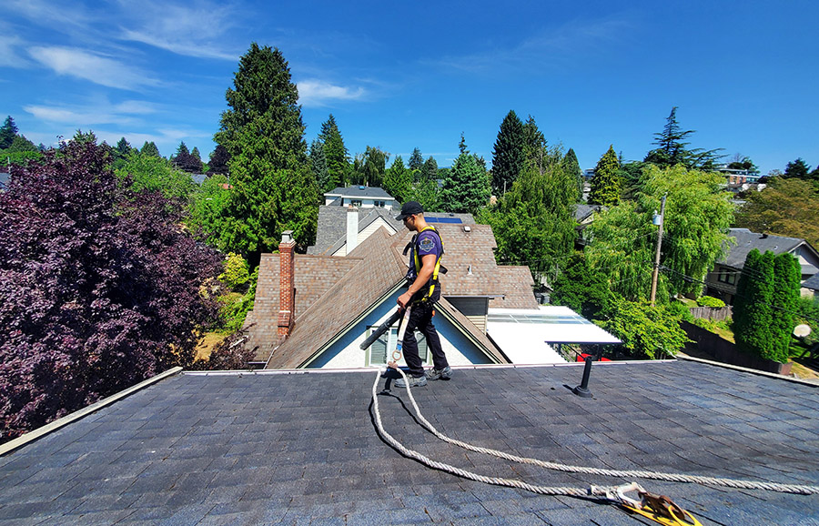 a clean squad employee removing moss from a shingle roof in kerrisdale vancouver