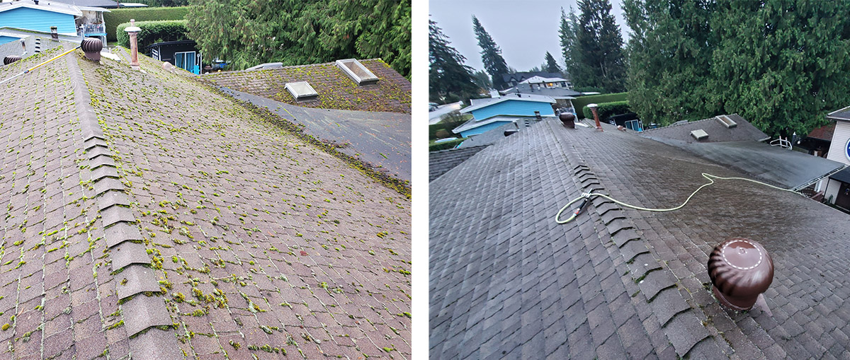 before and after of a roof cleaned and moss removed