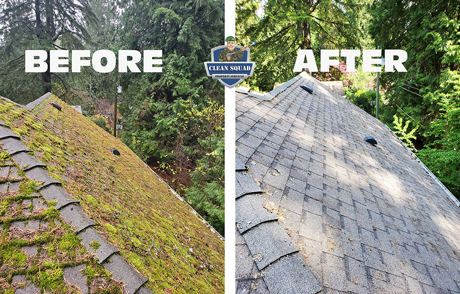 before and after photo of a shingle roof cleaning in north vancouver