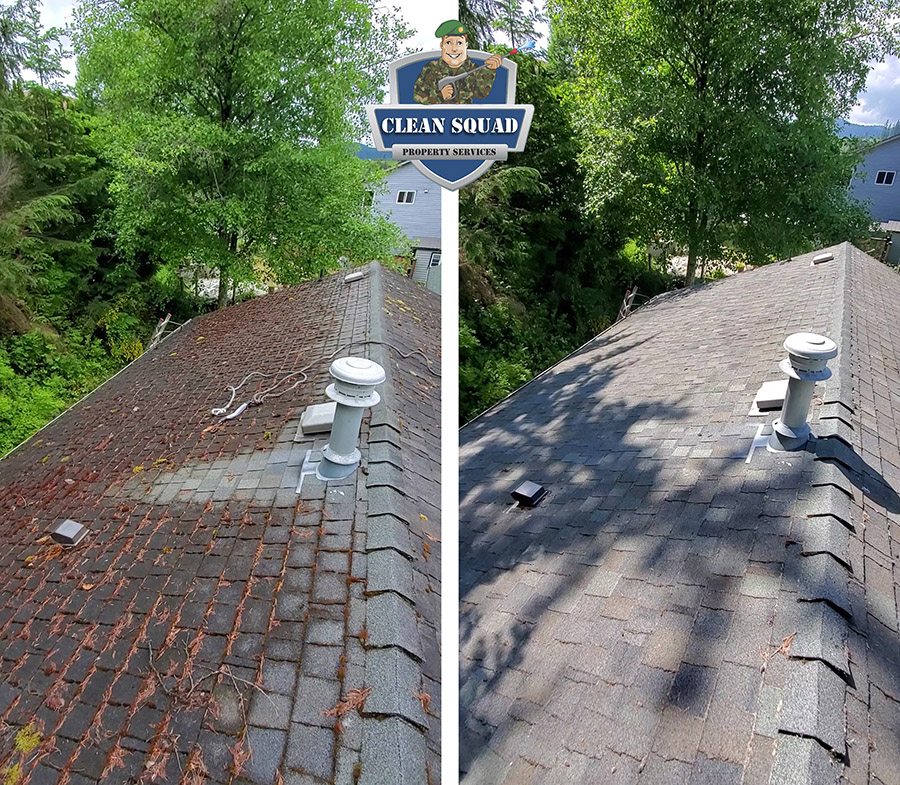 before and after photo of a shingle roof soft wash