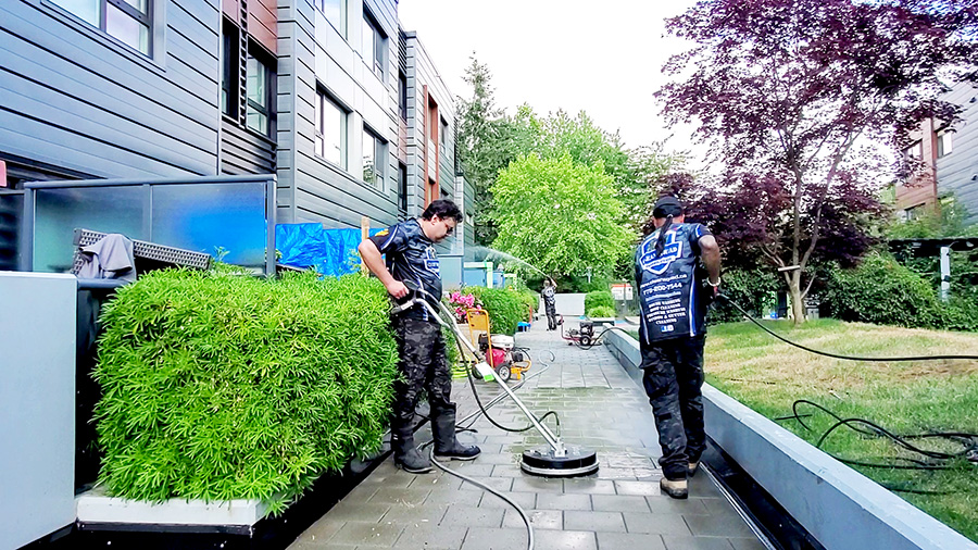 clean squad team members power washing strata complex walkway