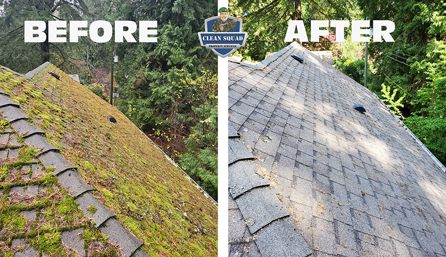 before and after roof moss removal